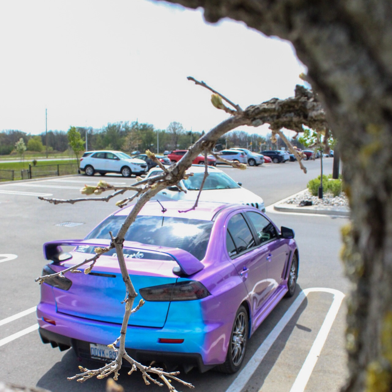 Gloss Chameleon Blue Purple Car Vinyl Wrap